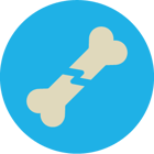 Accidental Death and Dismemberment Benefit